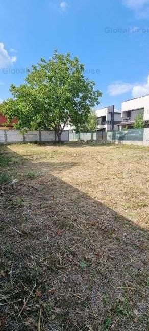 Vanzare Teren Intravilan ROSU Chiajna Mega Image