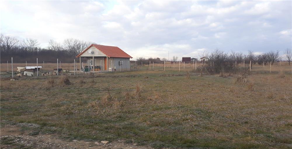 vanzare teren mosnita strada castorului