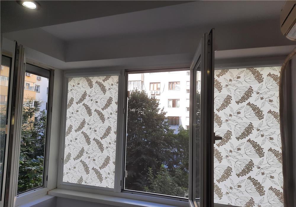 Vatra luminoasa, pompiliu manoliu, 3 lifturi