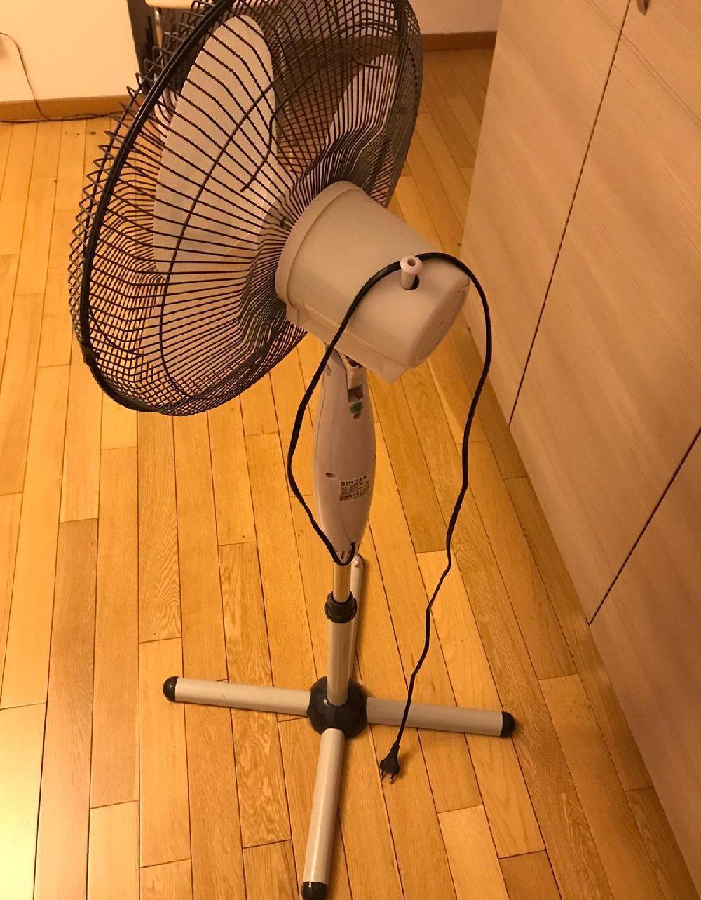 Ventilator Singer