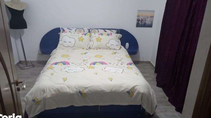 Vila 5 camere  Calea Calarasi