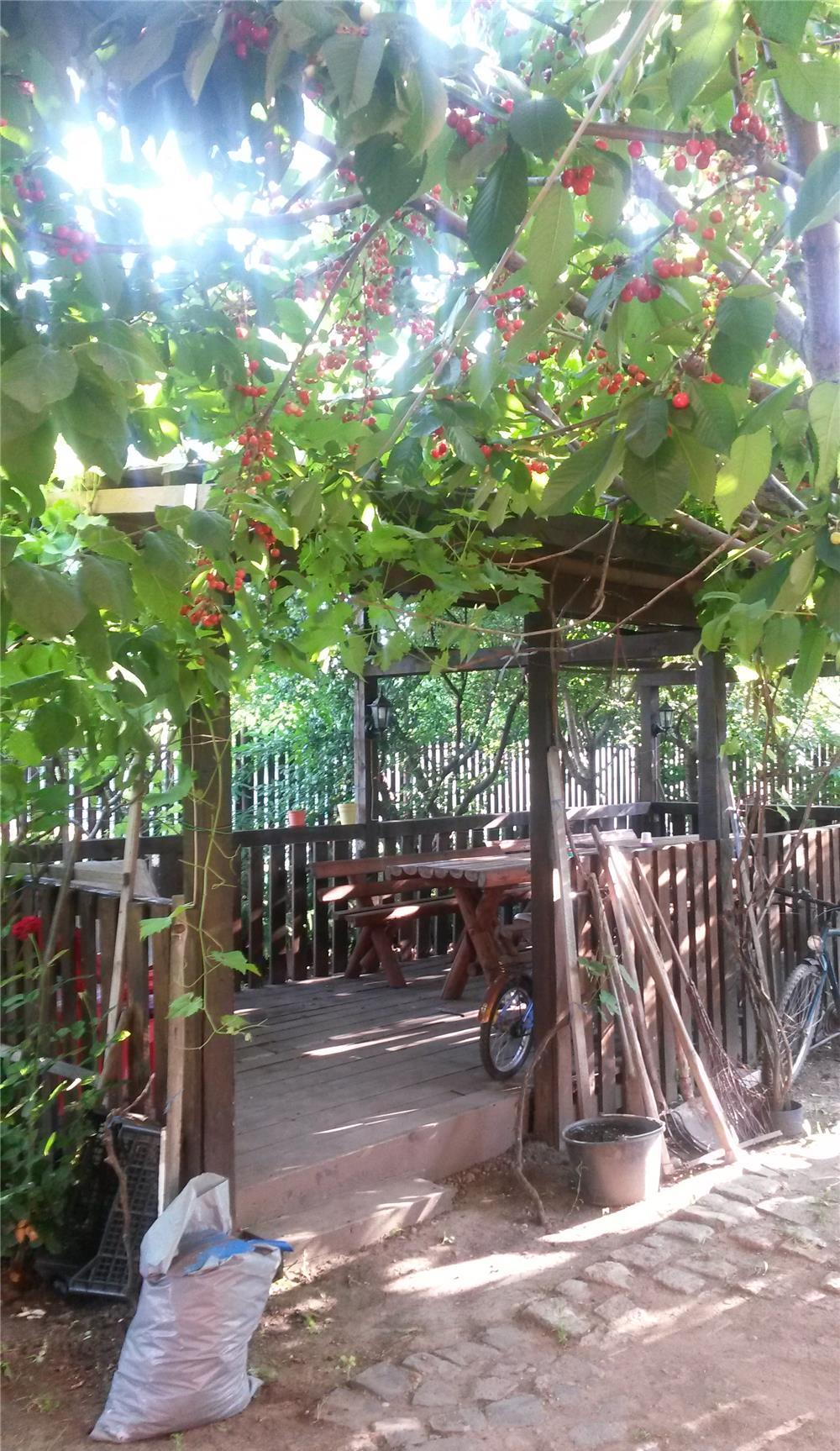 Vila deosebita