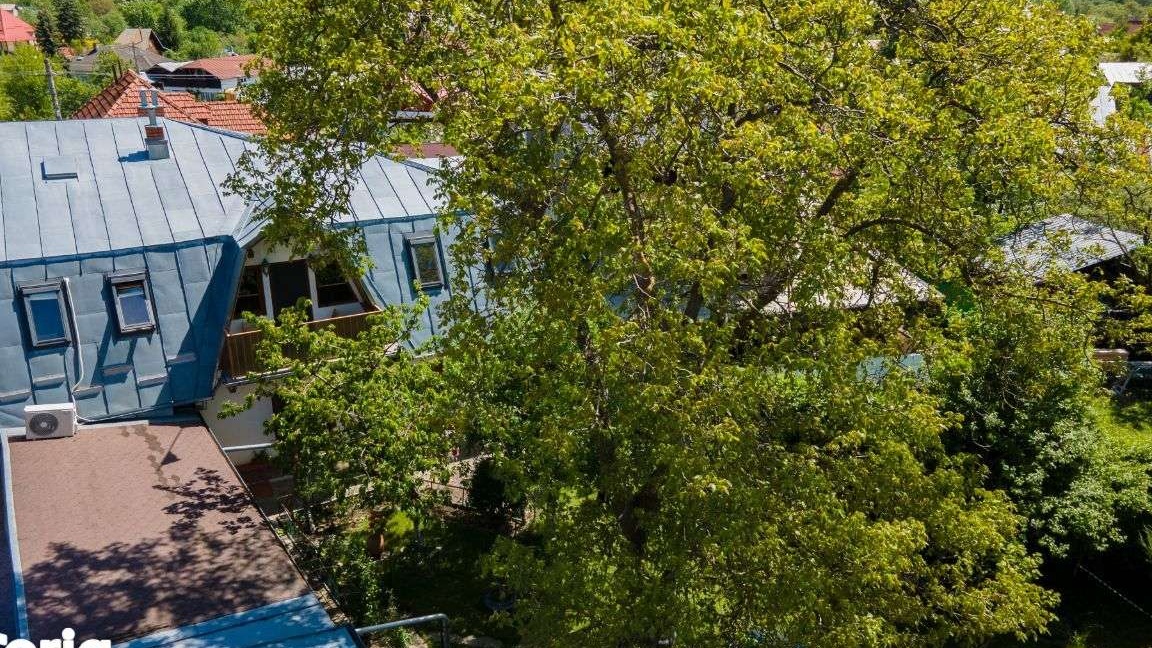 Vila Olympia Breaza 1411 mp, lângă piață, P+ M+ POD, Anexă, Garaj