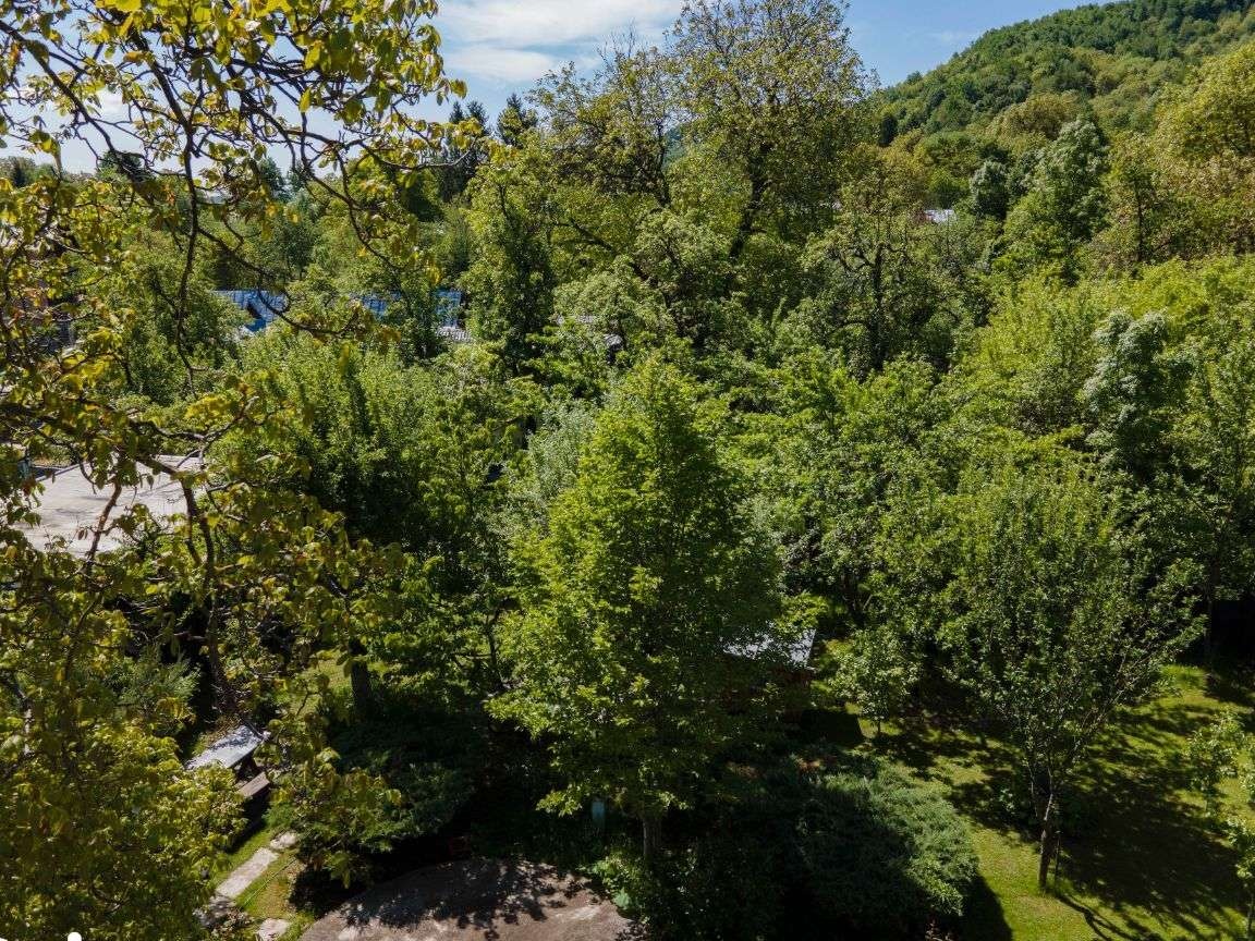 Vila Olympia Breaza 1411 mp, lângă piață, P+ M+ POD, Anexă, Garaj