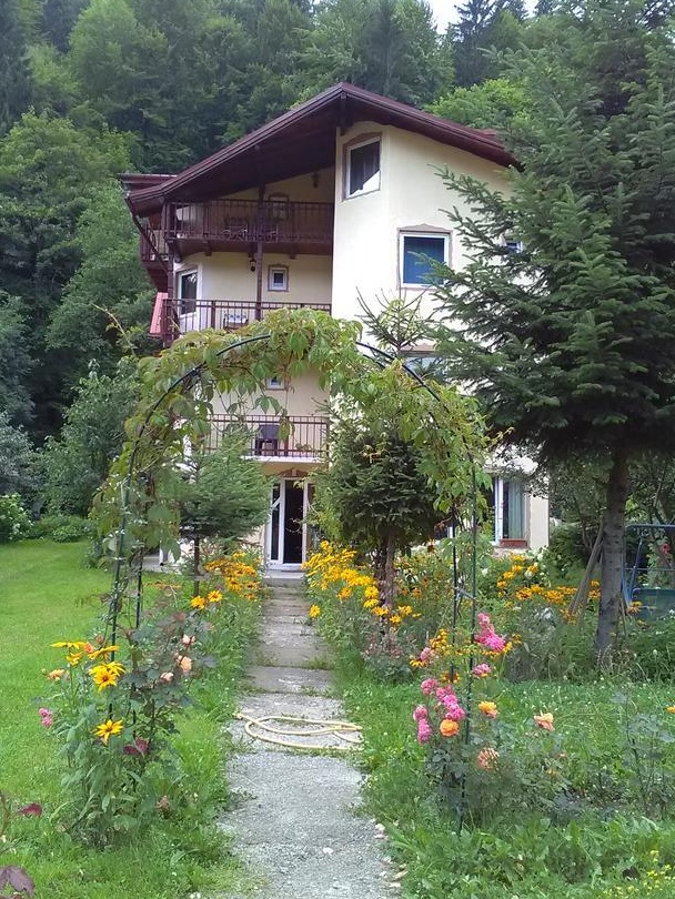 Vila pensiune   550 m2 / teren 1000 m2 / ieșire la pârâu