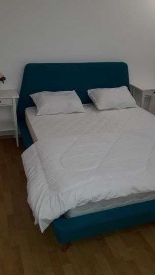 Vila Snagov Sat 5 dormitoare