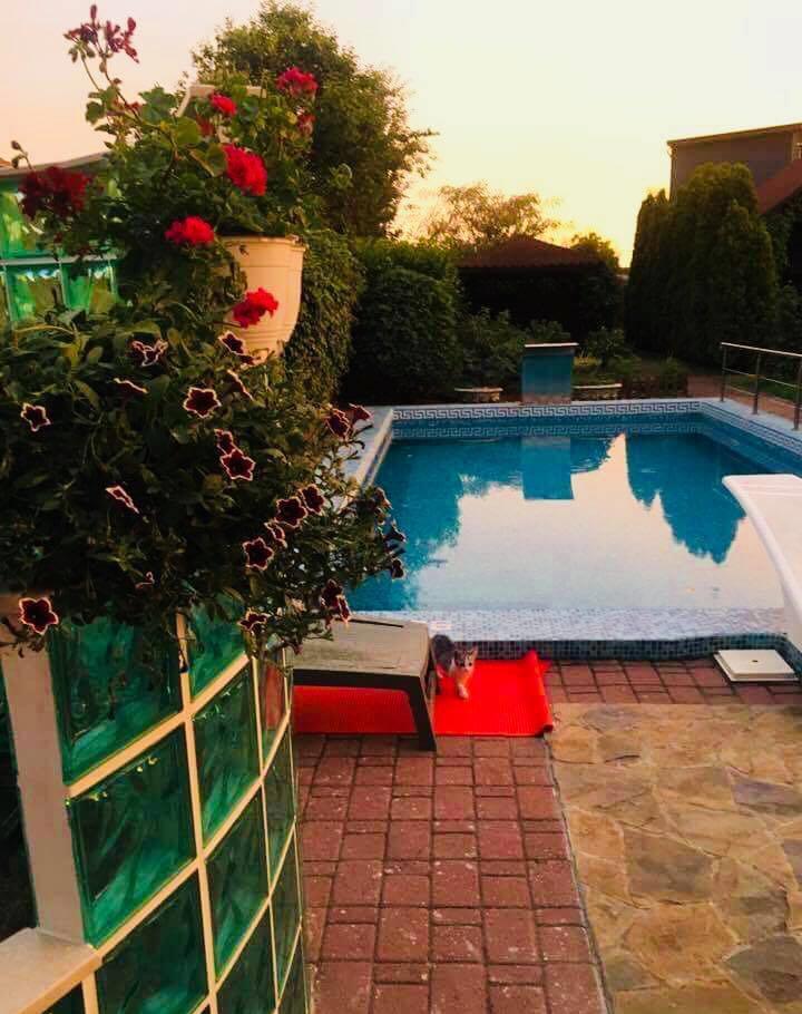 Vila spectaculoasa cu o gradina de poveste