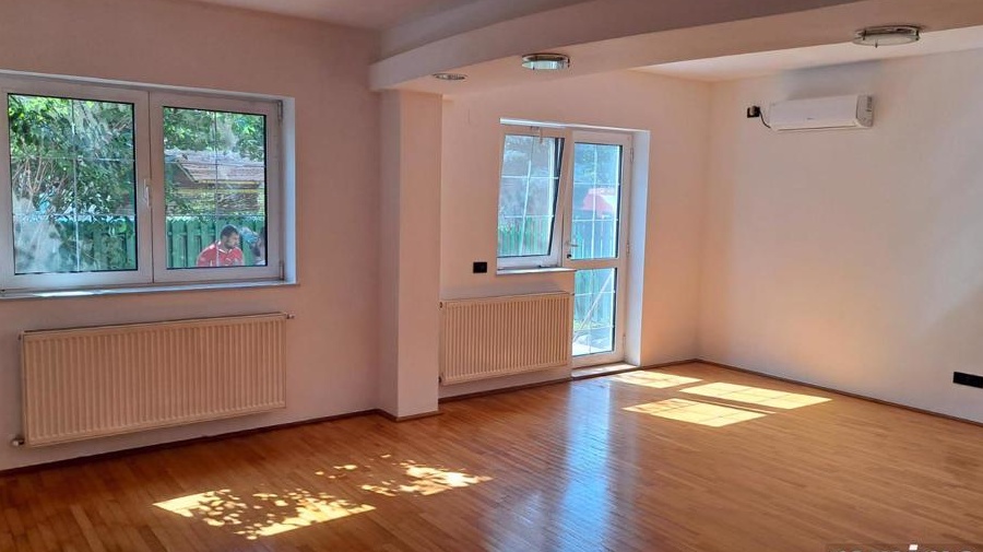 Vila superba Iancu Nicolae- Pipera