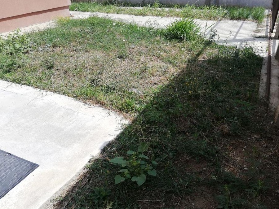 Vile de calitate superioara, foarte rezistente - Dovedim calitatea si cantitatea materialelor