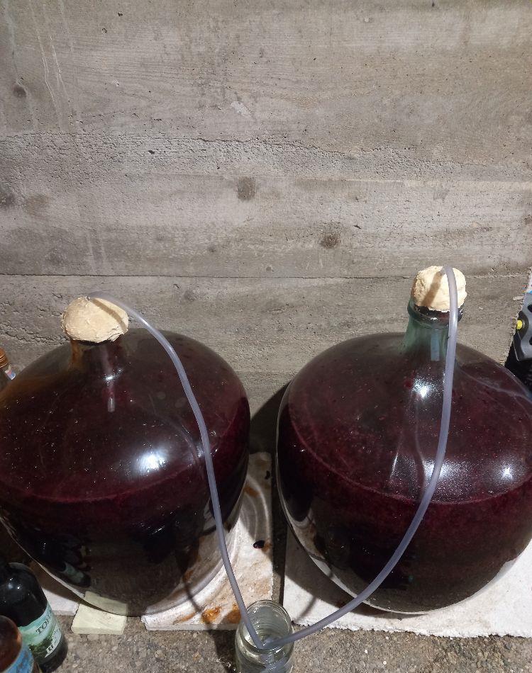 Vin de coacaze,struguri,Palinca de pere ,mere,ciresata