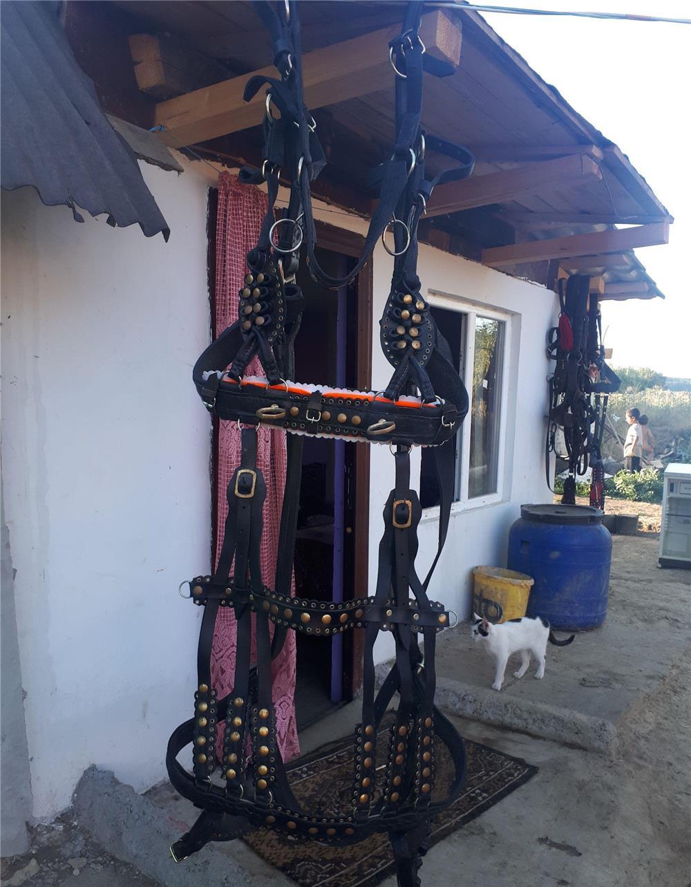 Vînd ham nou pentru pretentios,pret 1.500