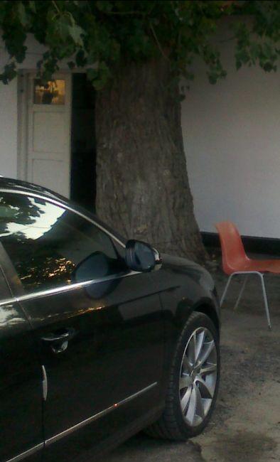 Vînd Jante wv.passat originale
