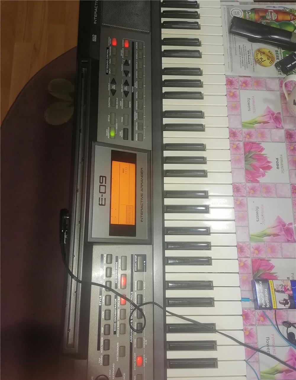 Vind orga roland e o9