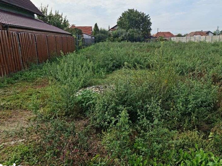 vind teren intravilan