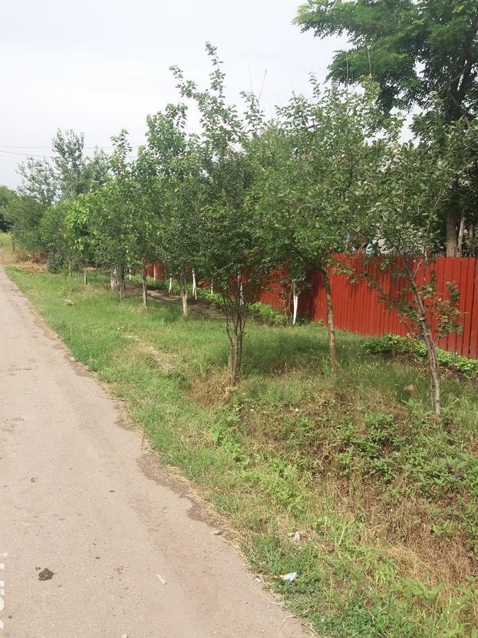 Vinde casa