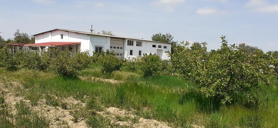VINZARE BENZINARIE OIL ARGENTA