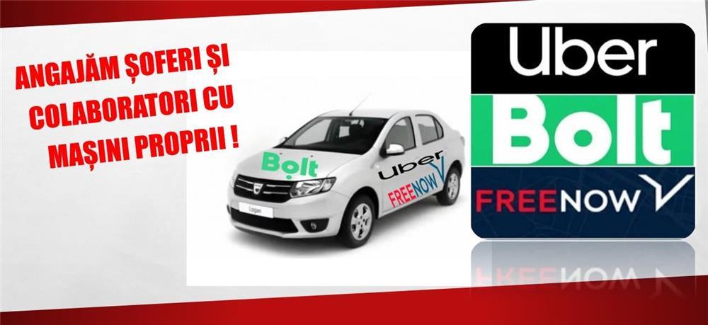 WOW ..Marim echipa Soferi Transport Alternativ