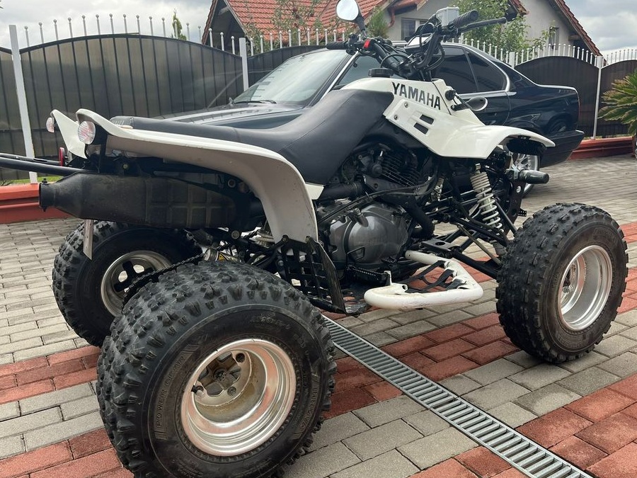 Yamaha Warrior