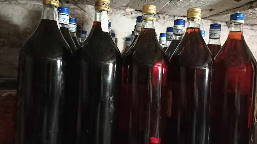 Zeamă de struguri și se prune (pălincă și vin)