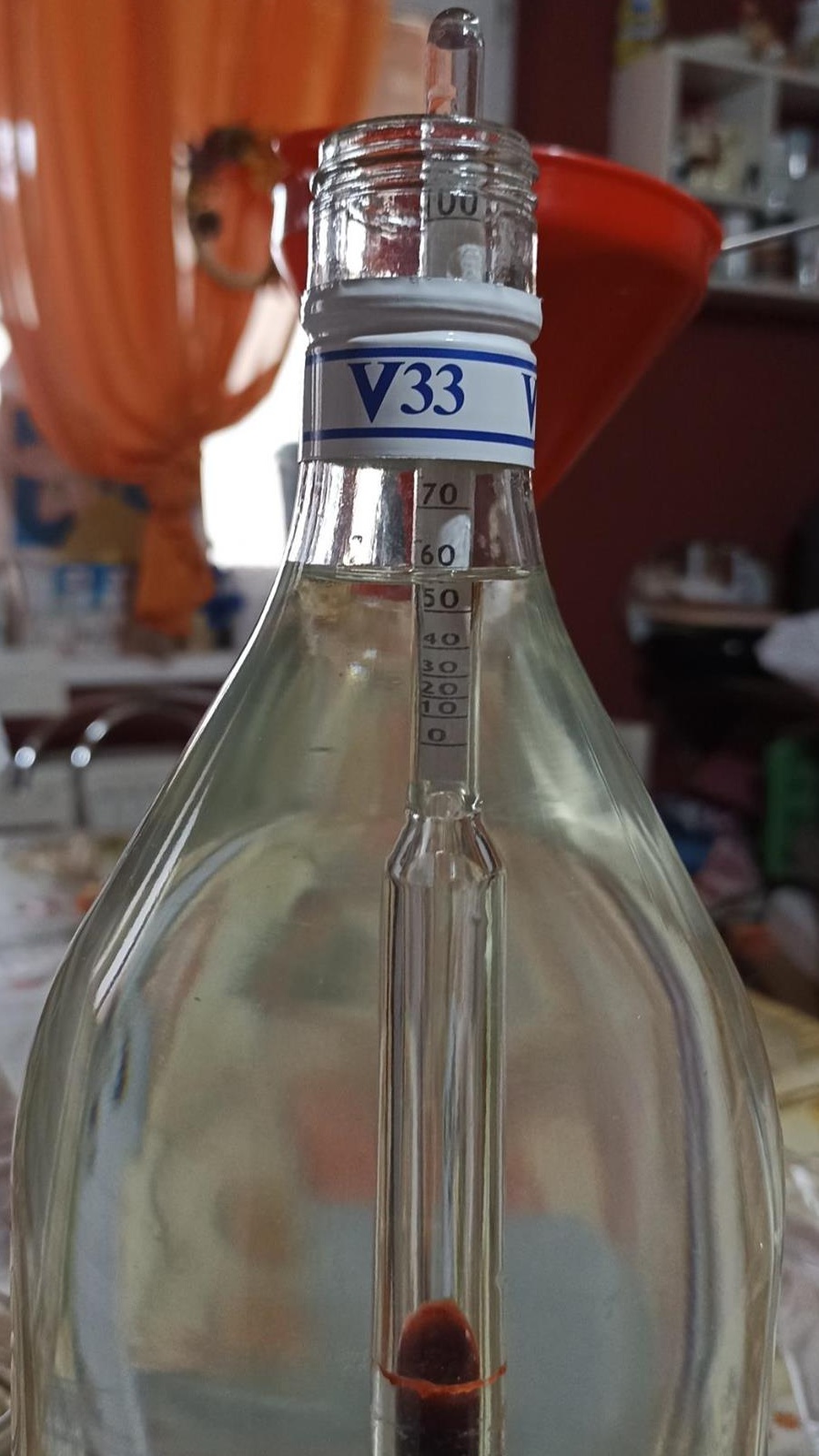 Zeamă de struguri și se prune (pălincă și vin)