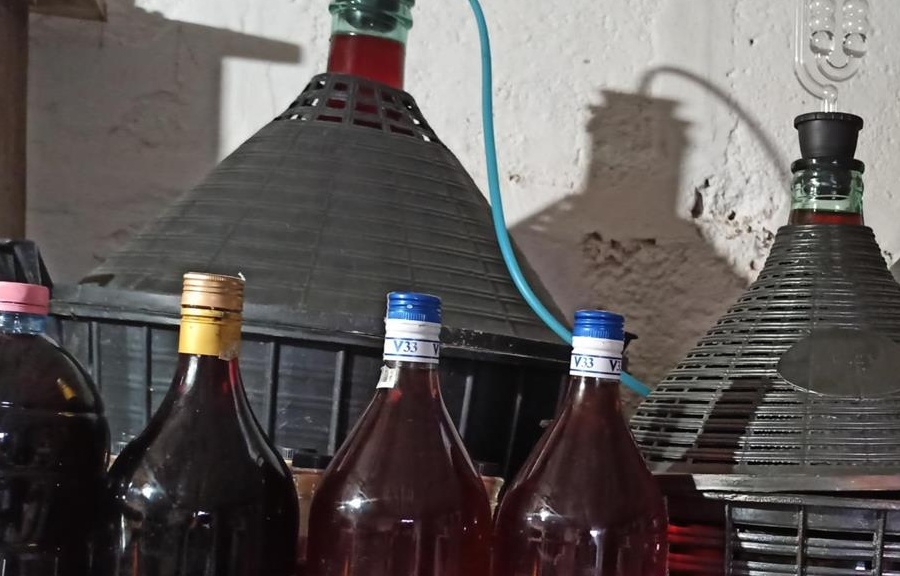 Zeamă de struguri și se prune (pălincă și vin)
