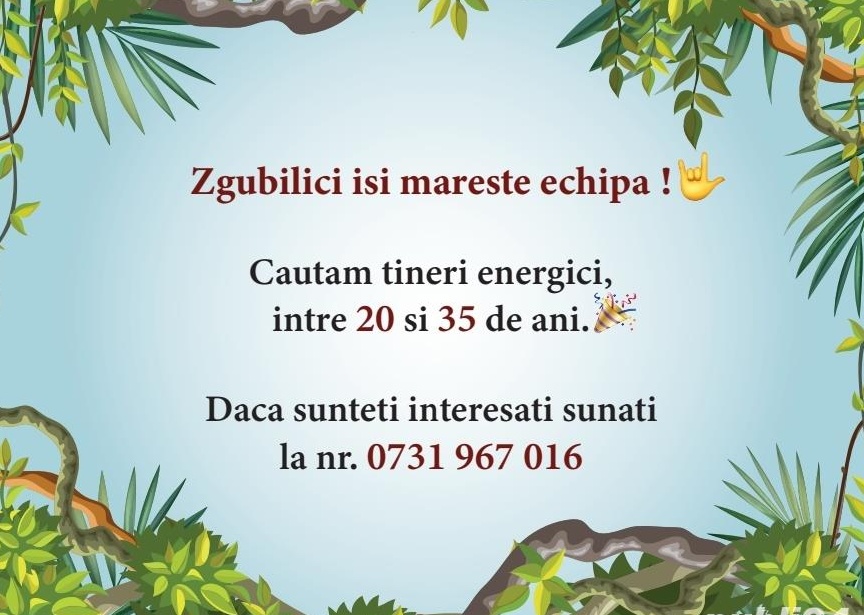 Zgubilici Playground isi mareste echipa